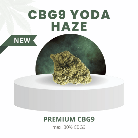 CBG9 Yoda Haze Indoor Stark 30% | Premium CBG9