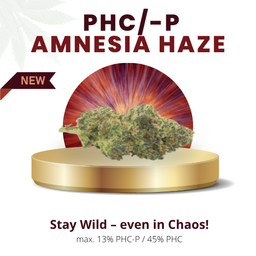 Amnesia Haze 58% | Premium PHC/-P WEED