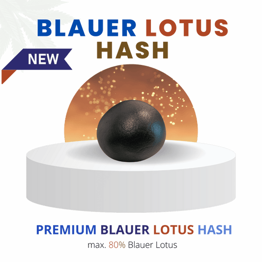 Blauer Lotus Hash mit 80 % Gehalt, präsentiert auf einem weißen Podest. Premium-Produkt mit intensivem Aroma und dekorativer Anwendung, vor einem stilvollen Design.