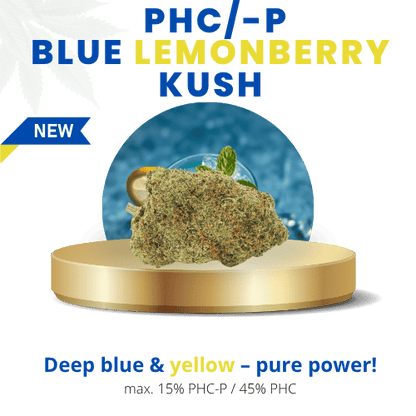 Blue Lemonberry Kush 60% | Premium PHC/-P WEED