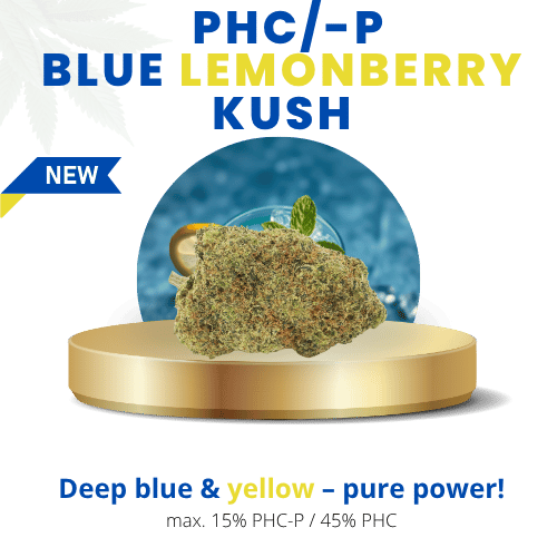 Blue Lemonberry Kush 60% | Premium PHC/-P WEED