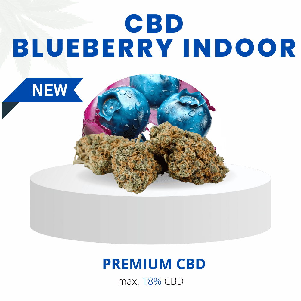 BLUEBERRY INDOOR 18% | Premium CBD Weed