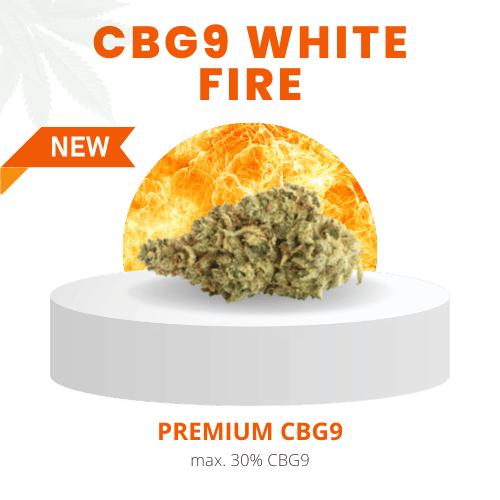 CBG9 White Fire Stark 30% | Premium CBG9