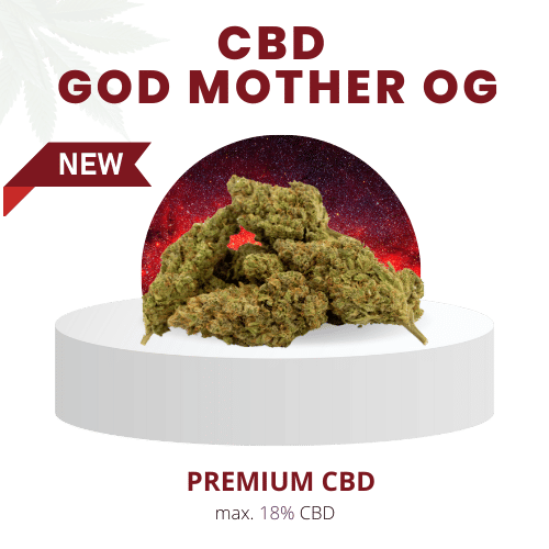 GOD MOTHER OG INDOOR 18% | Premium CBD