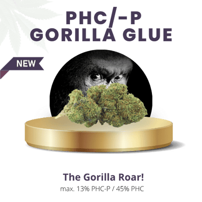 Gorilla Glue 58% | Premium PHC/-P WEED