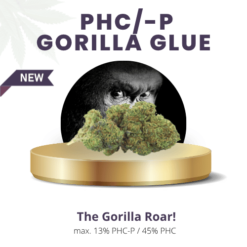 Gorilla Glue 58% | Premium PHC/-P WEED