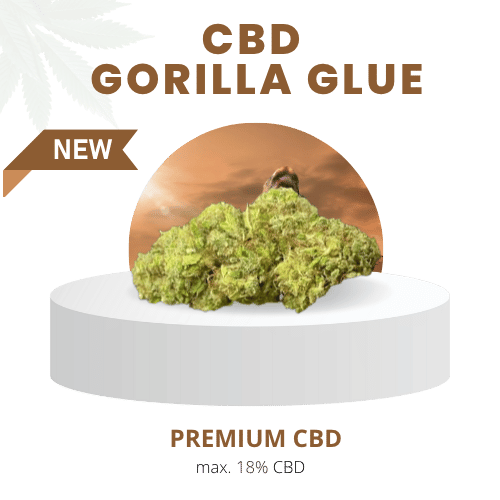 GORILLA GLUE 18% | Premium CBD
