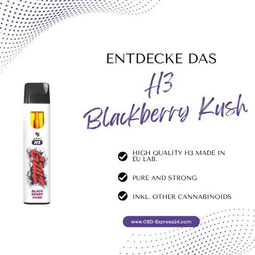 GZUZ Blackberry Kush | H3 Vape