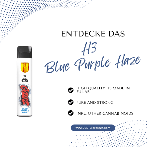 GZUZ Blue Purple Haze | H3 Vape