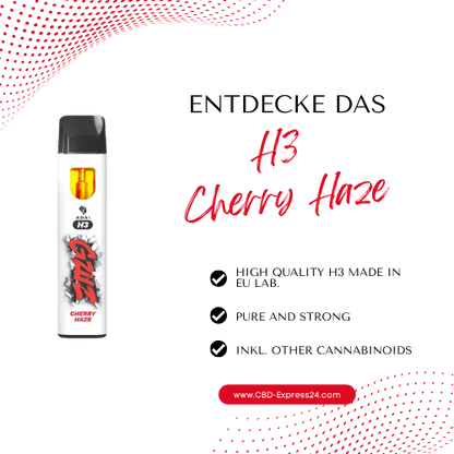 GZUZ Cherry Haze | H3 Vape