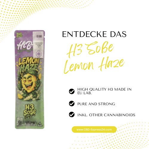 Lemon Haze | H3 Soße
