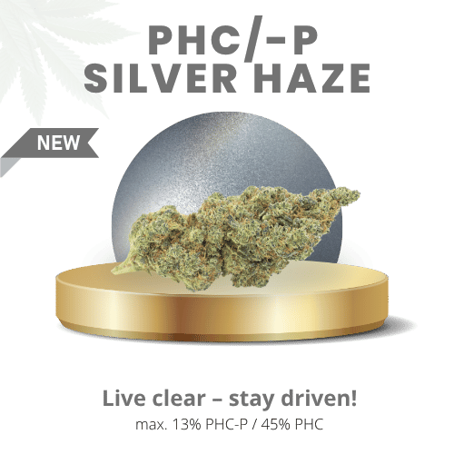 Silver Haze 58% | Premium PHC/-P WEED