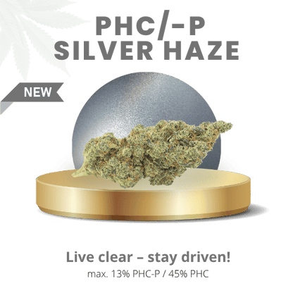 Silver Haze 58% | Premium PHC/-P WEED