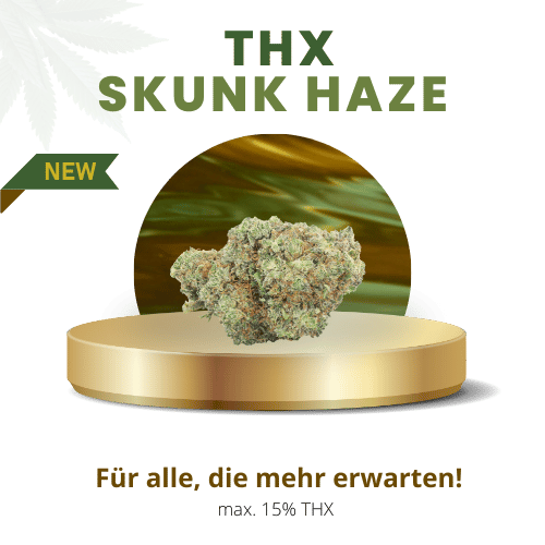 Skunk Haze 15% Stark | Premium THX