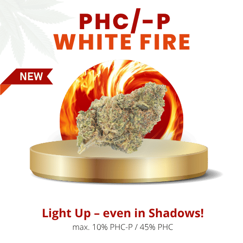 White Fire 55% | Premium PHC/-P WEED
