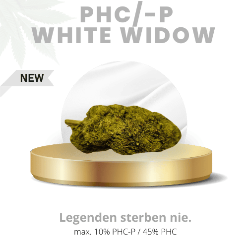 White Widow 55% | Premium PHC/-P WEED
